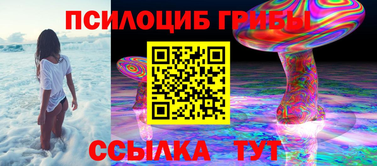 Краснодар  Псилоцибиновые грибы GOLDEN TEACHER  Псилоцибиновые грибы Magic Shrooms  Вход с VPN 